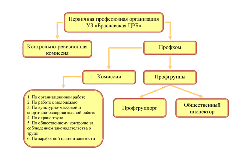 Структура организации