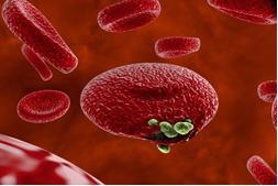 photo 2019 04 25 13 37 59